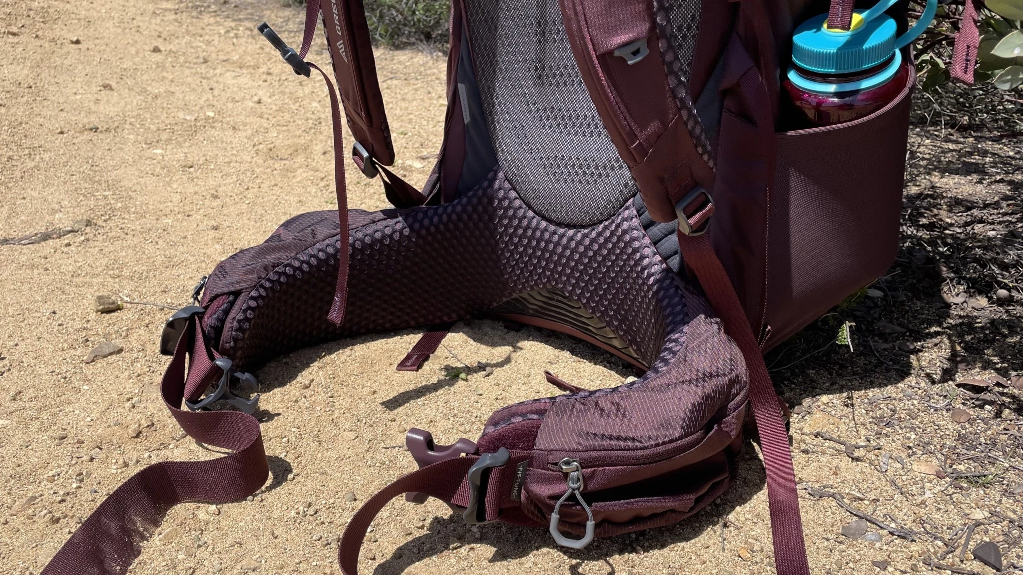 Detailed view of the thick cushioning on the Gregory Deva 60 hip belt.