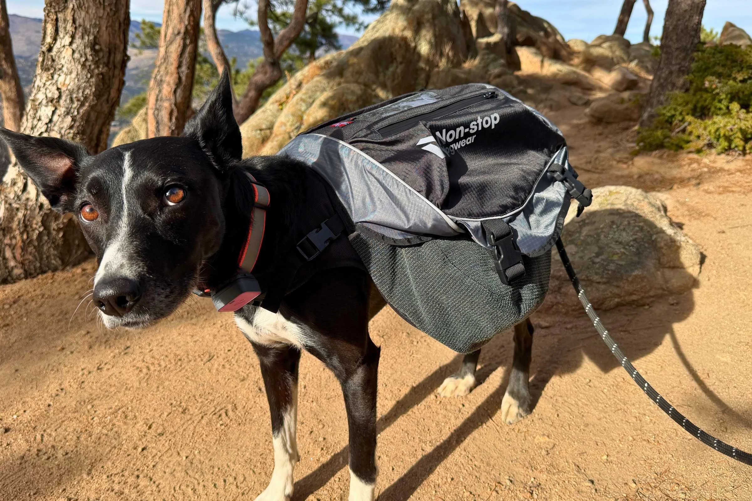 A dusty dog backpack resting on a rock after a long hike.
