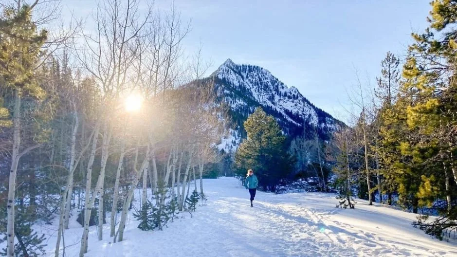 A hiker with technical gear looking over a snowy landscape, representing year-round gear utility.