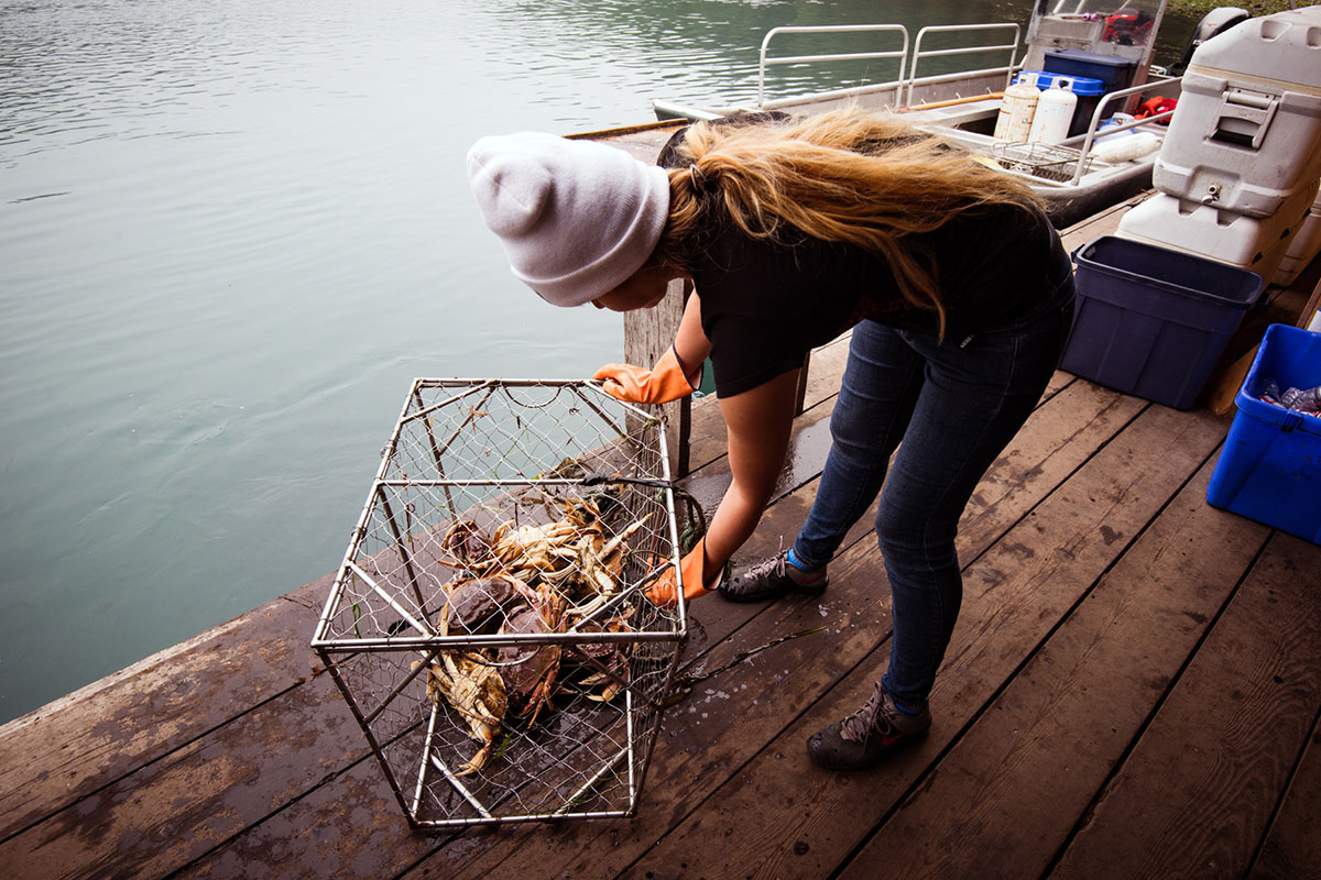 A woman handling a cage of fresh crabs on a dock.