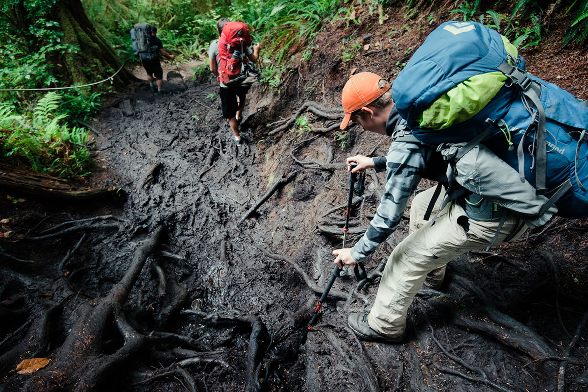 Hikers carefully stepping down a steep, muddy trail covered in interlocking tree roots.