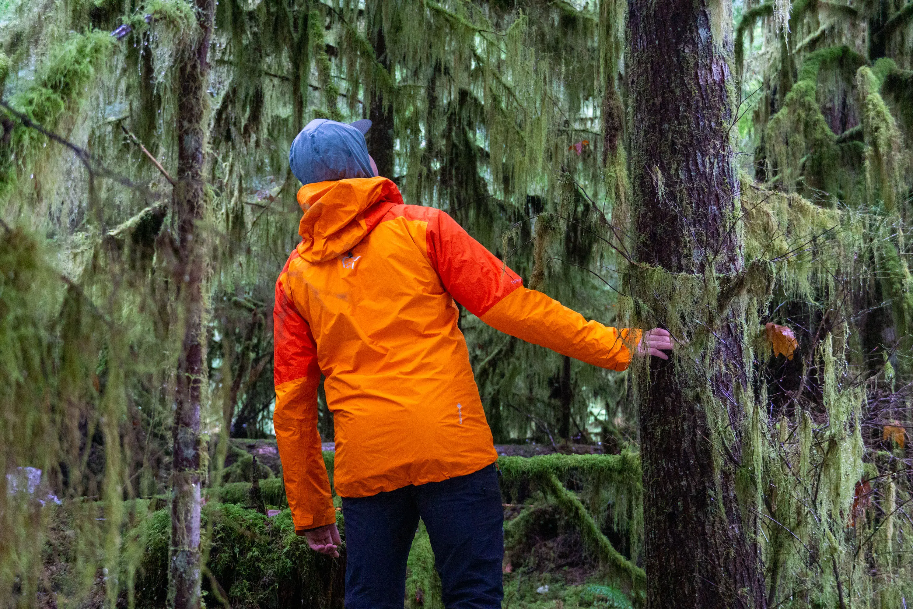 Best Rain Jackets 2026: Patagonia to Arc'teryx