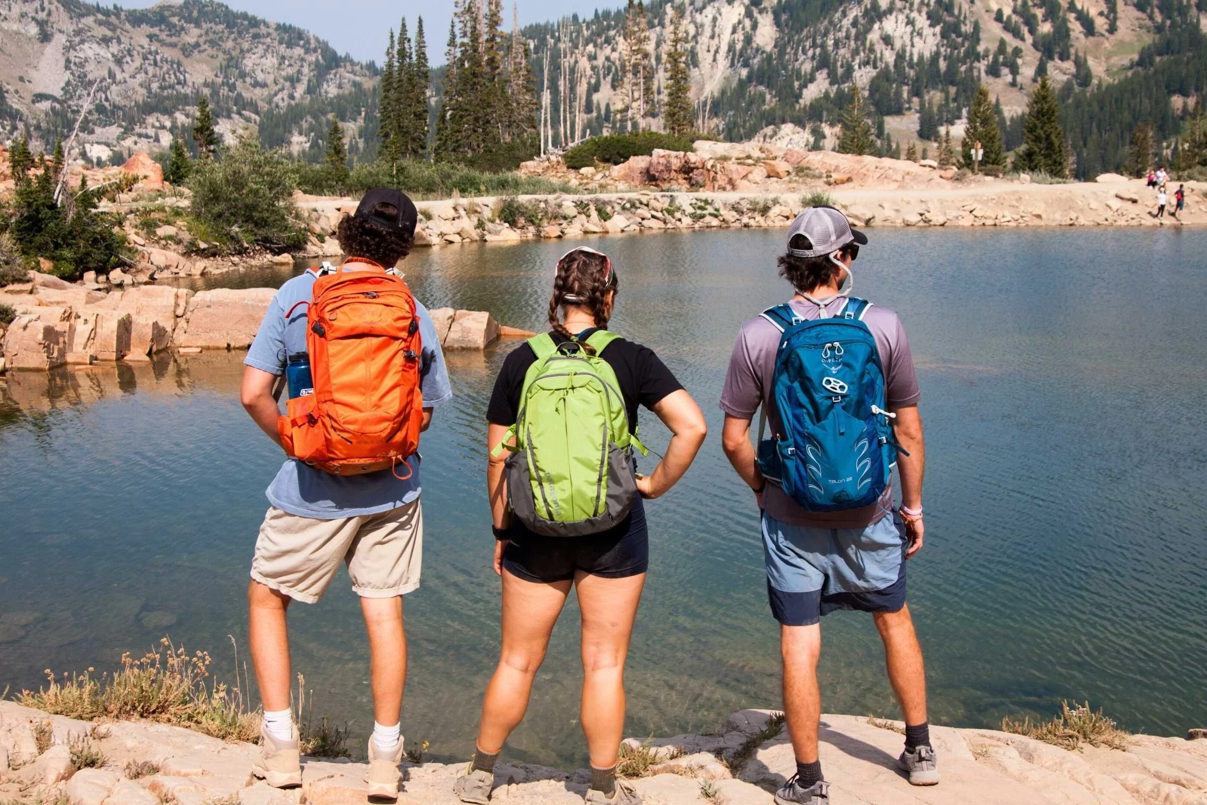 8 Best Hiking Daypacks: Top Rated for 2026