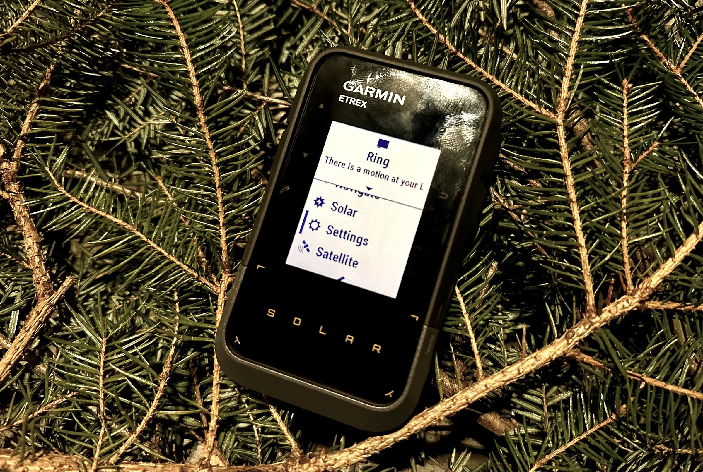 The Garmin eTrex Solar unit held against a blurred woodland background.