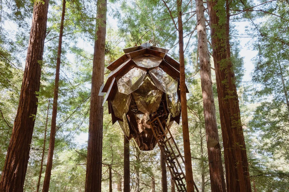 A unique, modern glamping structure known as the Pinecone Treehouse nestled in the woods.