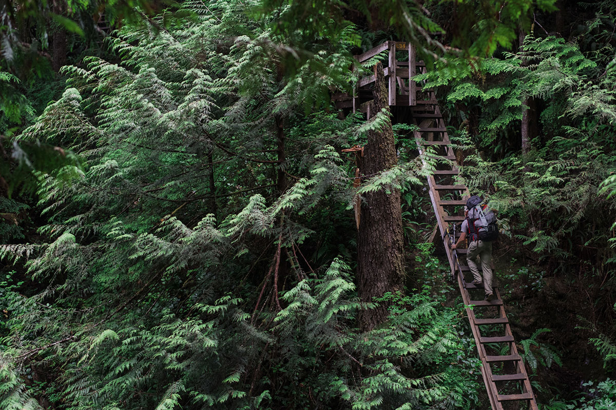 West Coast Trail Guide: Permits, Gear & Planning