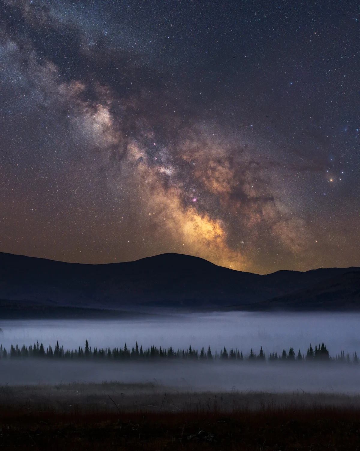Dense star fields over a dark forest in Maine.