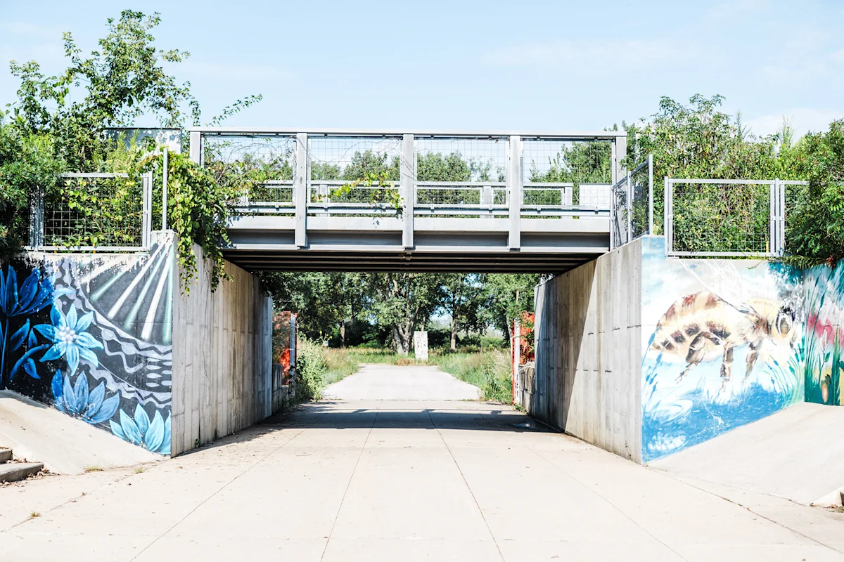 A trail path passing under a concrete bridge or urban overpass.