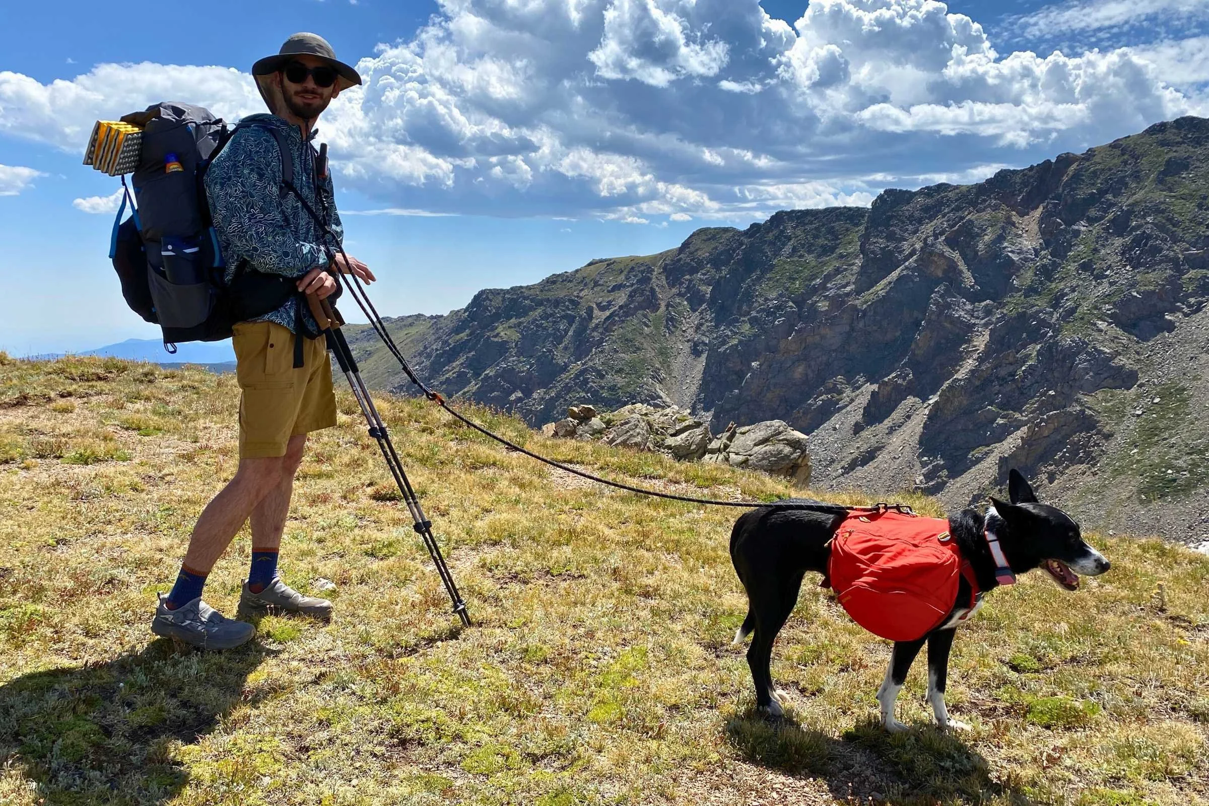Hiking with Dogs: Expert Trainer Tips for Trail Safety