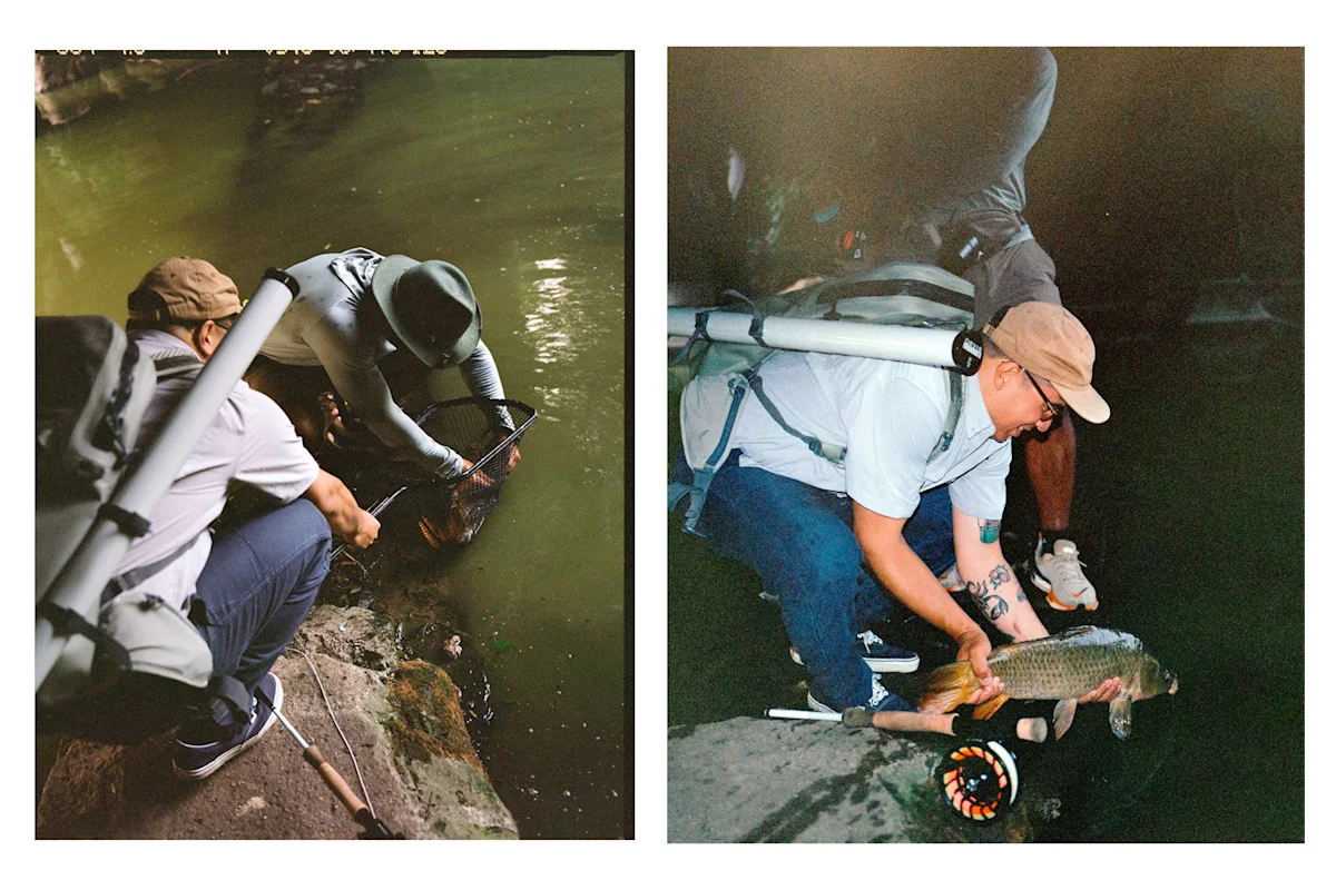 An angler net-landing a large carp on the rocky shore of a Manhattan lake.