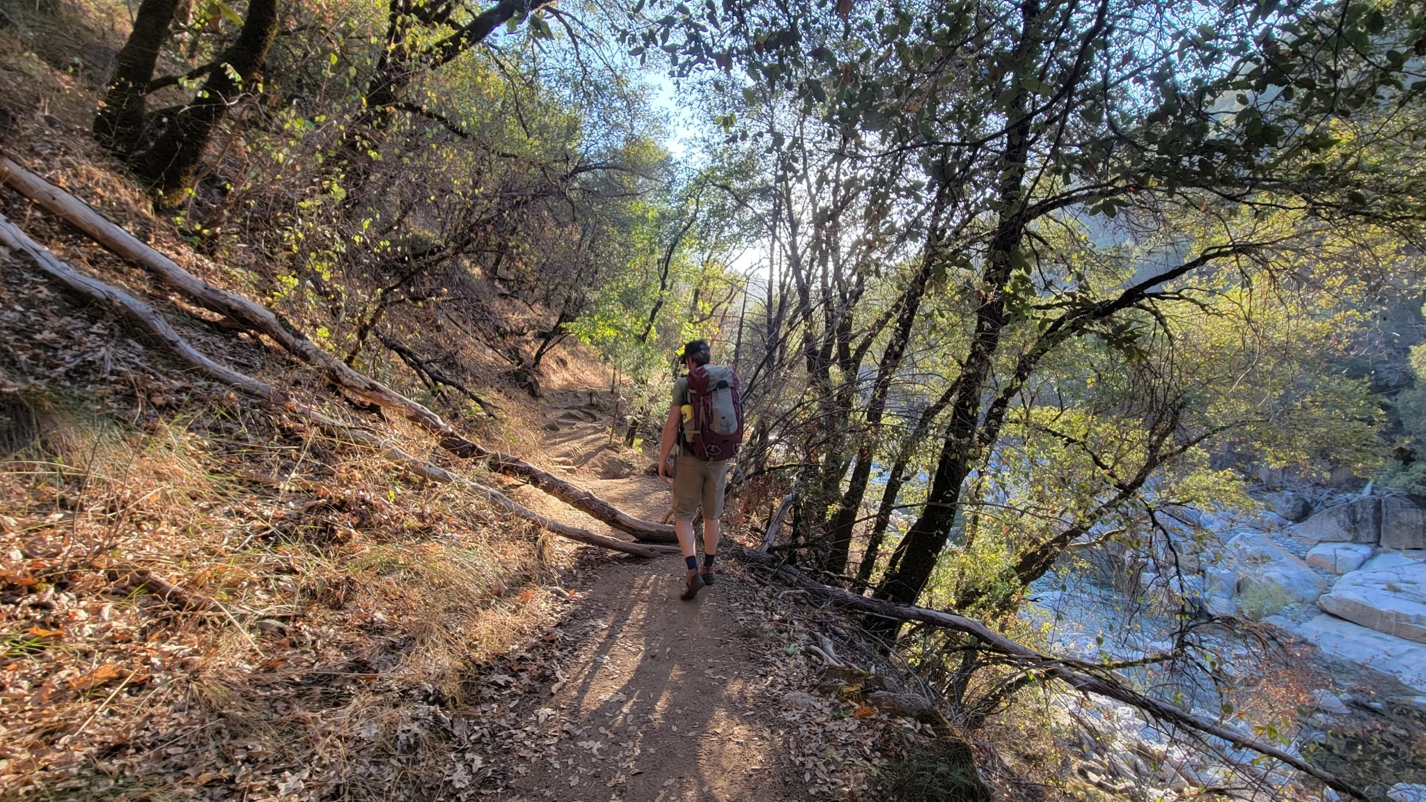 A hiker wearing technical crew socks on a rugged mountain trail.