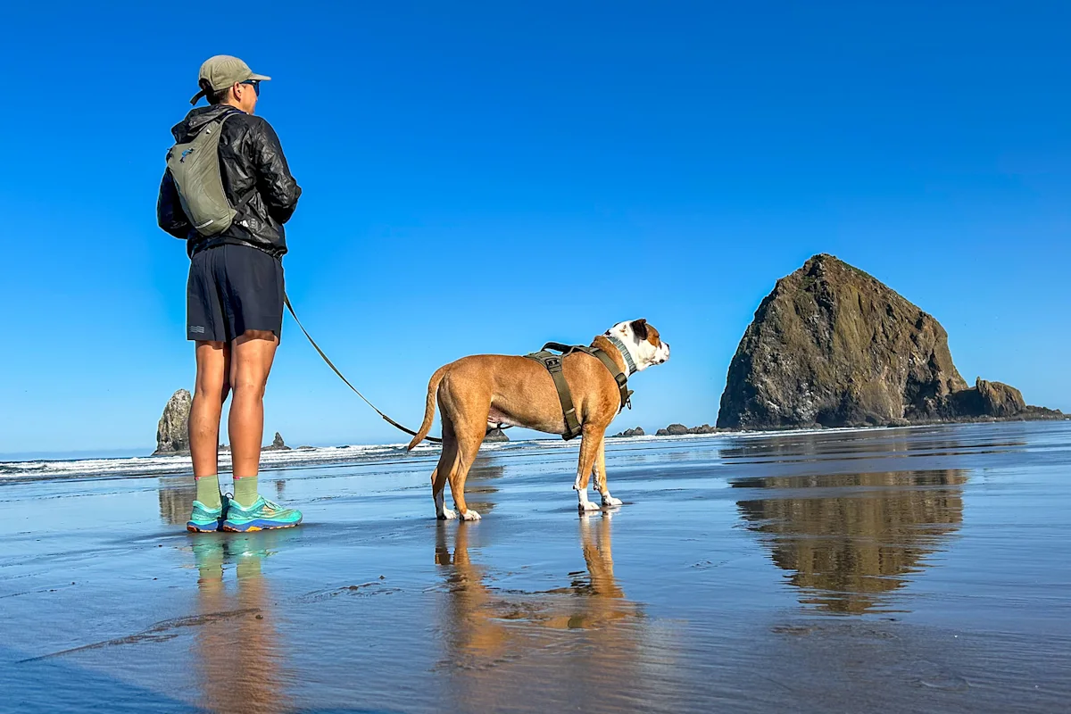 The massive basalt sea stack of Haystack Rock at Cannon Beach during low tide.