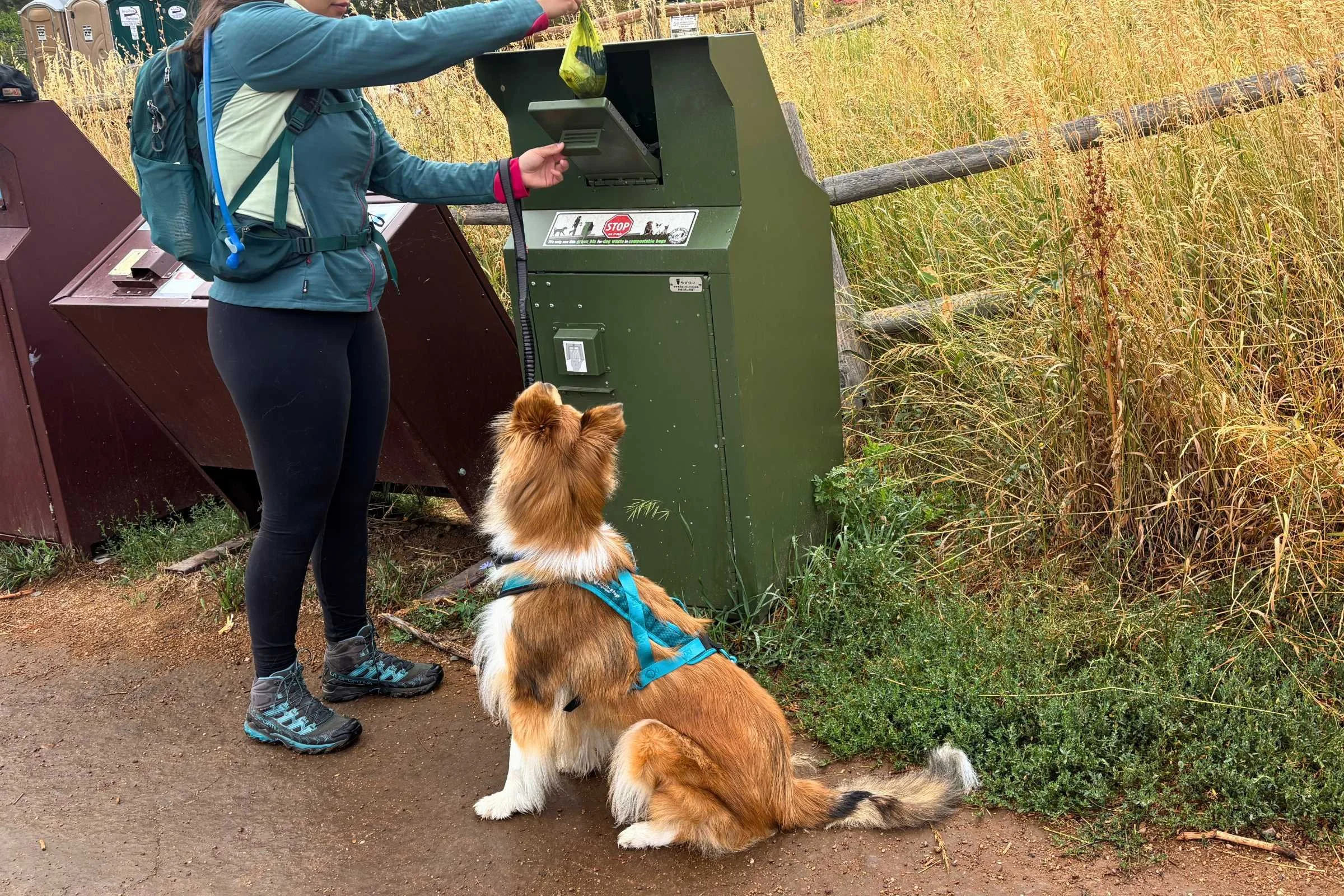 A hiker holding a dog waste bag next to a trailhead sign.