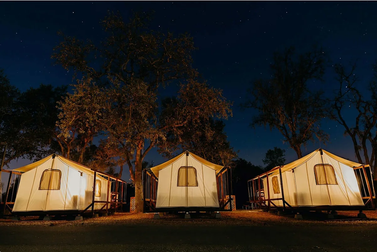 Rows of large white safari tents on wooden platforms at Wildhaven Sonoma.