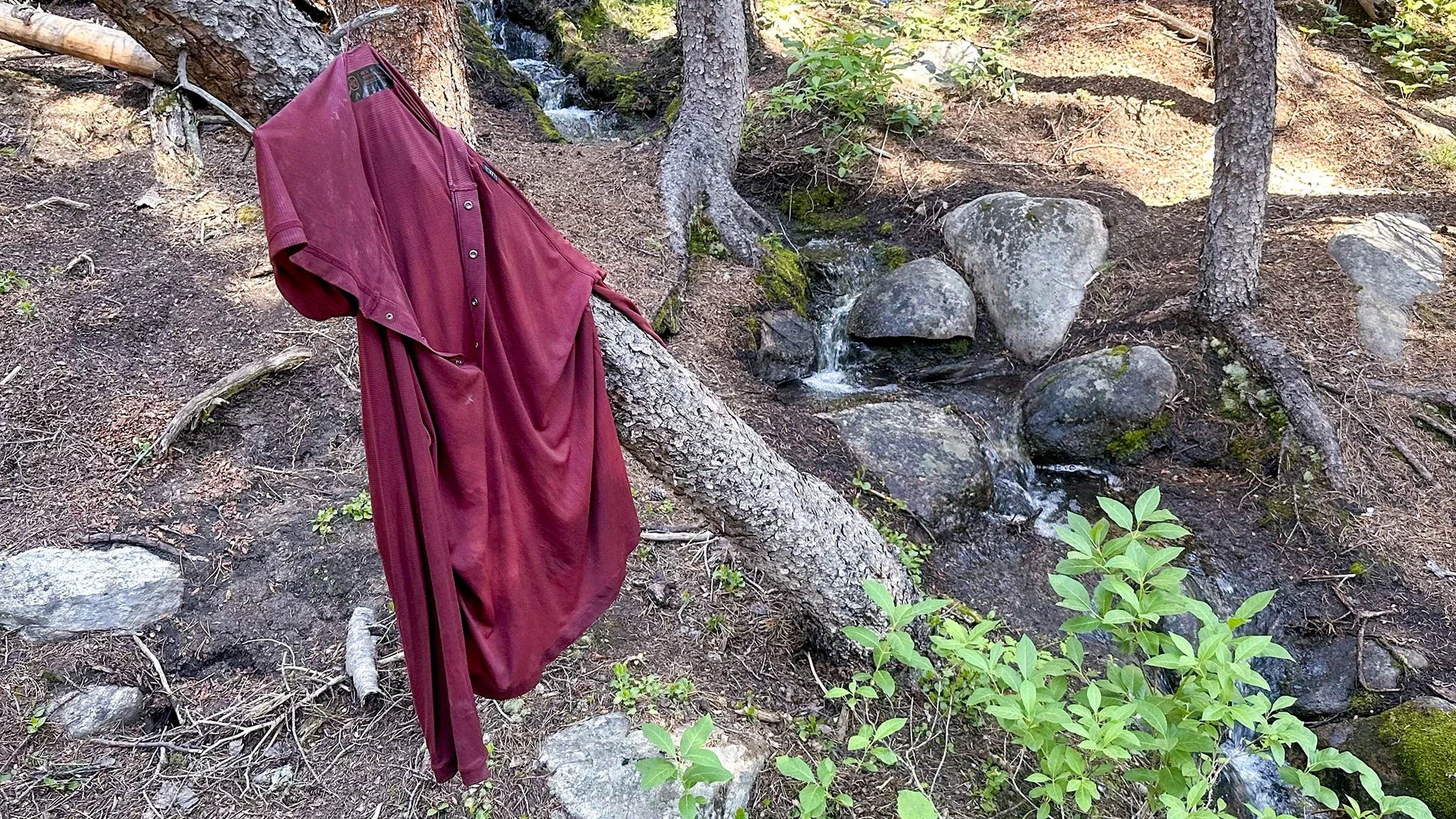 A technical sun shirt hanging from a tree branch in the wilderness to dry.