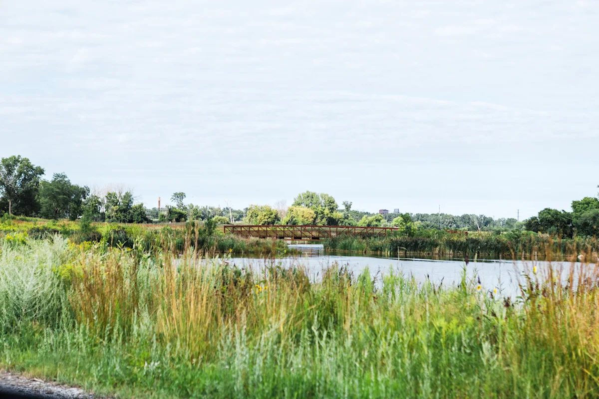 The wetland landscape of Big Marsh Park showing water and native grasses.