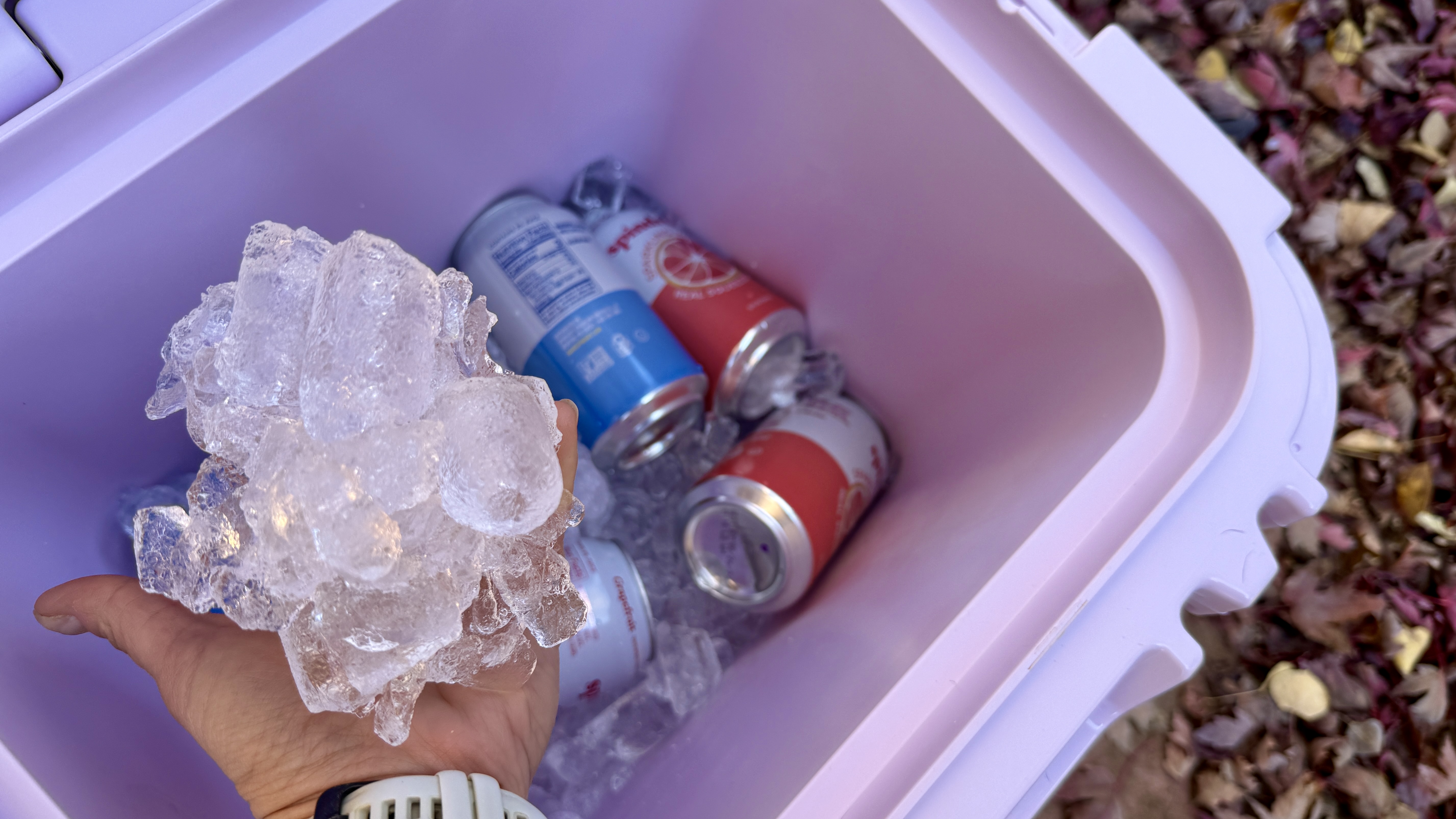 Interior view of the YETI Roadie 24 containing ice chunks and cold water.