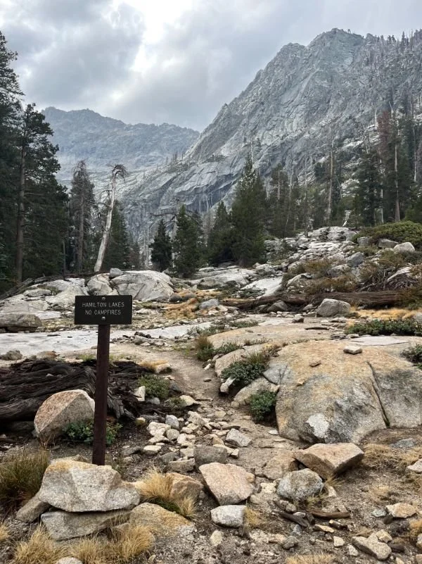A well-marked High Sierra Trail campsite featuring a metal bear locker and nearby wooden signage.