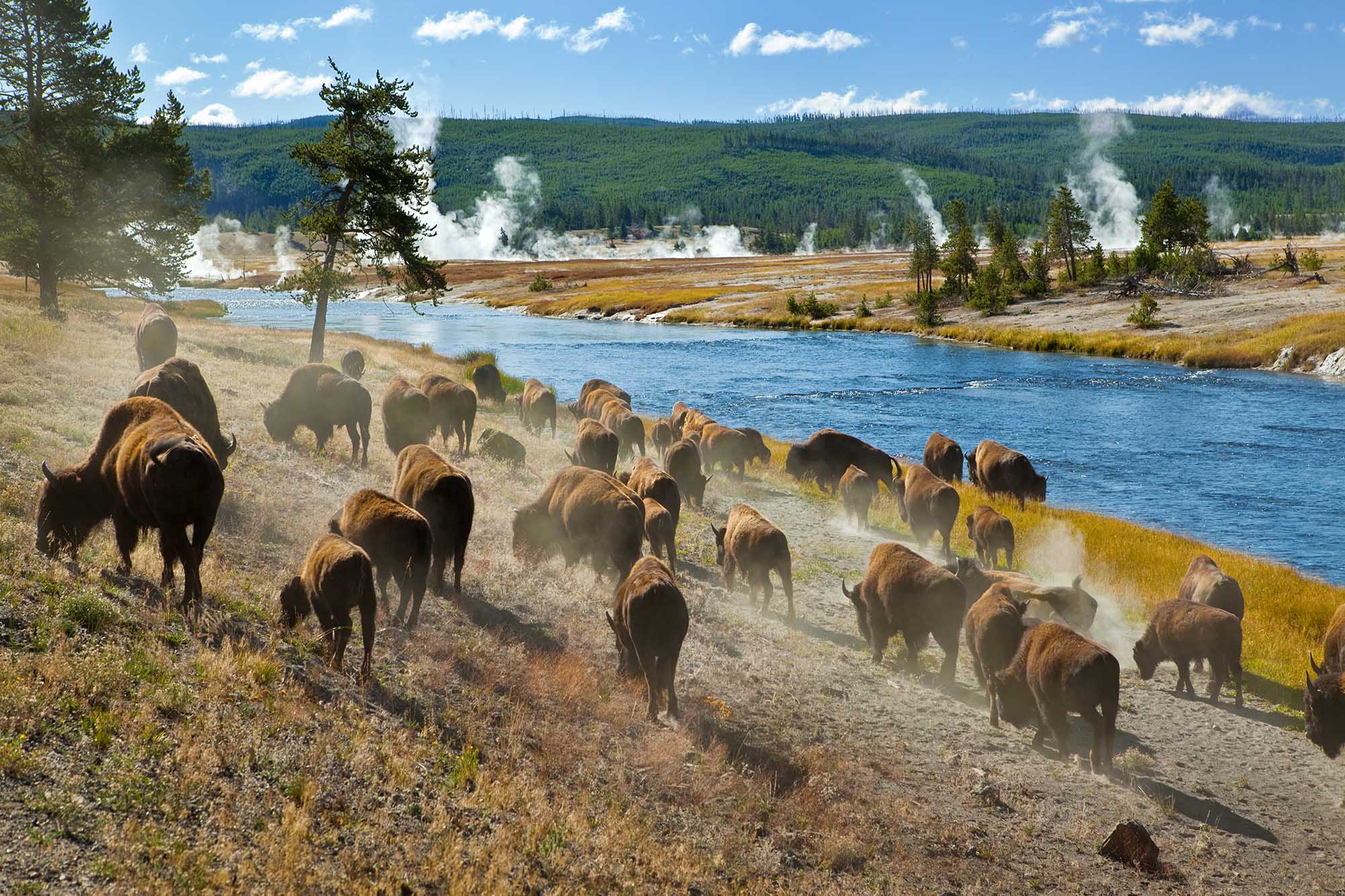 2026 Free National Park Days & Entrance Dates