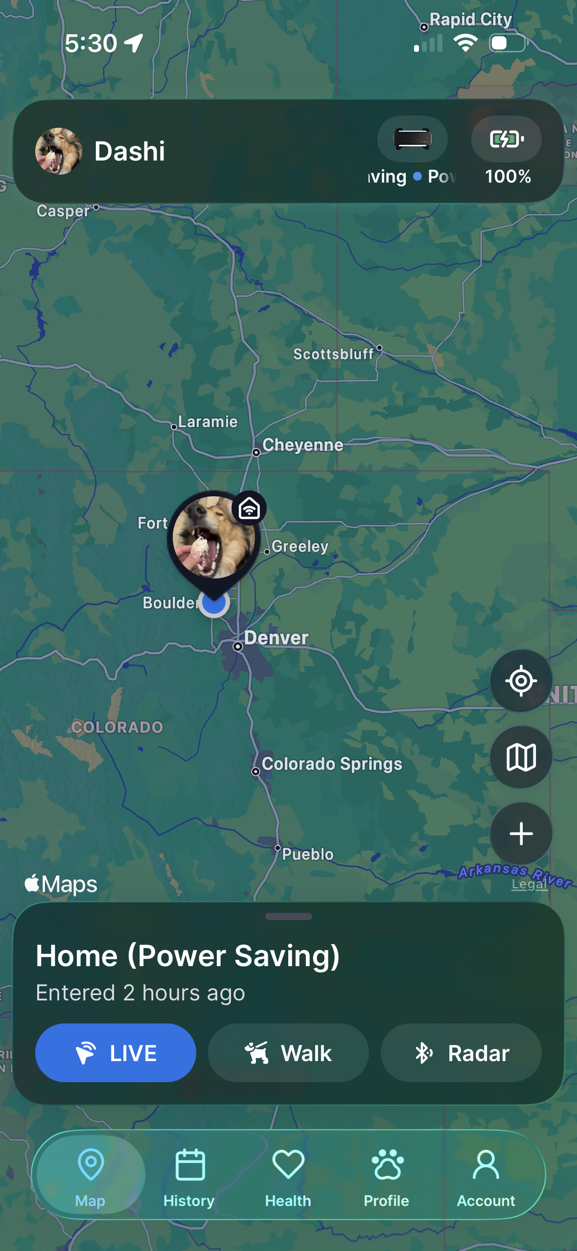 A dog resting at home with a graphical overlay representing a digital 'Power Saving Zone' boundary.