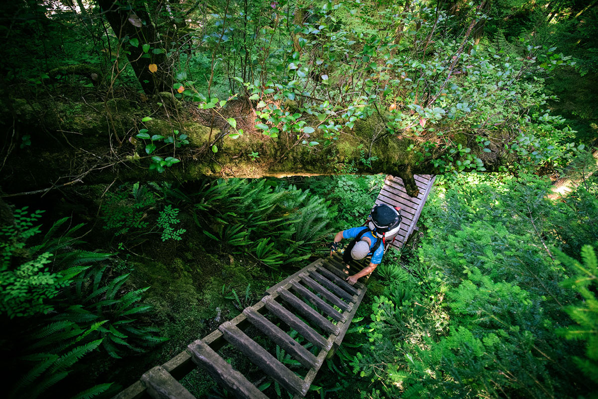 A hiker climbing up a very tall wooden ladder in a dense, green forest.