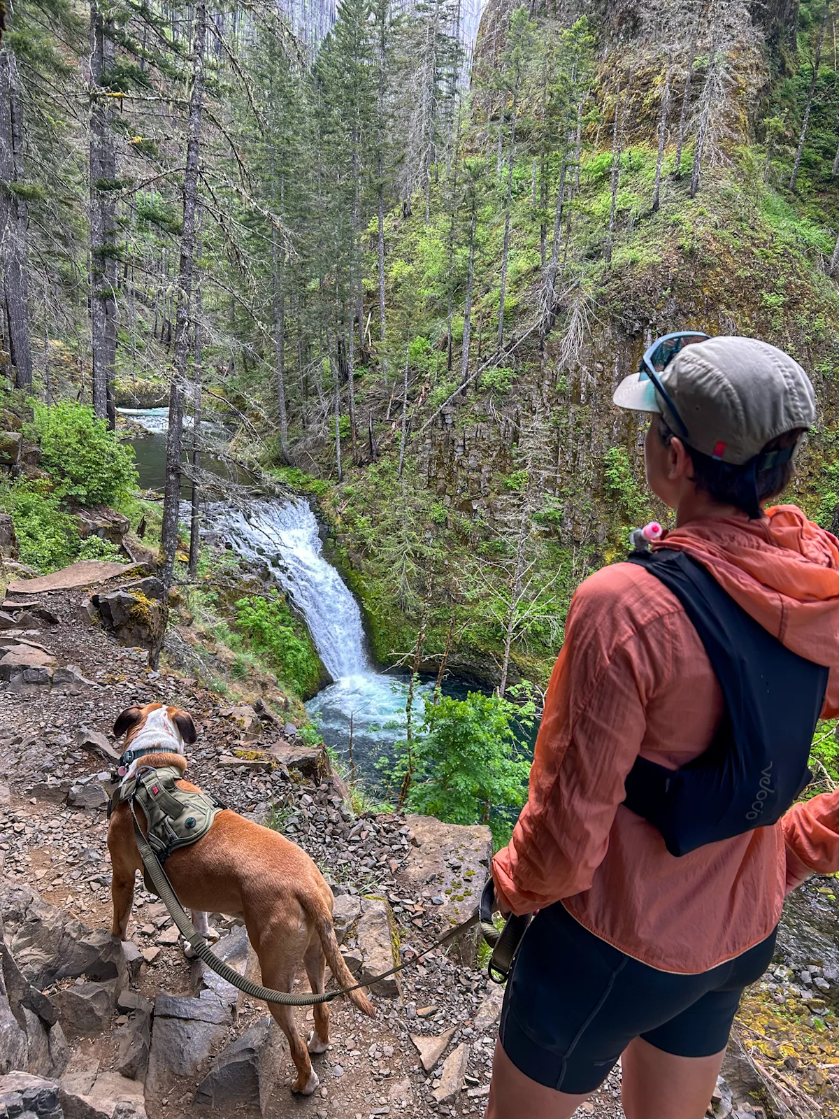 A hiker walking on a narrow trail carved into a cliffside behind a massive waterfall.
