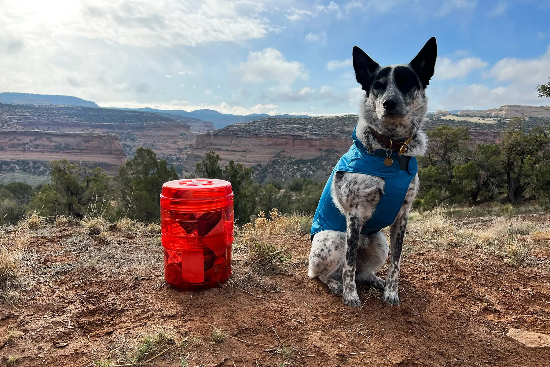 The REI Co-op Traverse Modular Bear Canister sitting on a wooden surface.