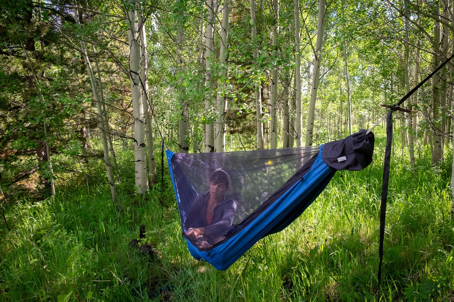 A hammock pitched in a dense Aspen forest where the ground is uneven and unsuitable for tents.