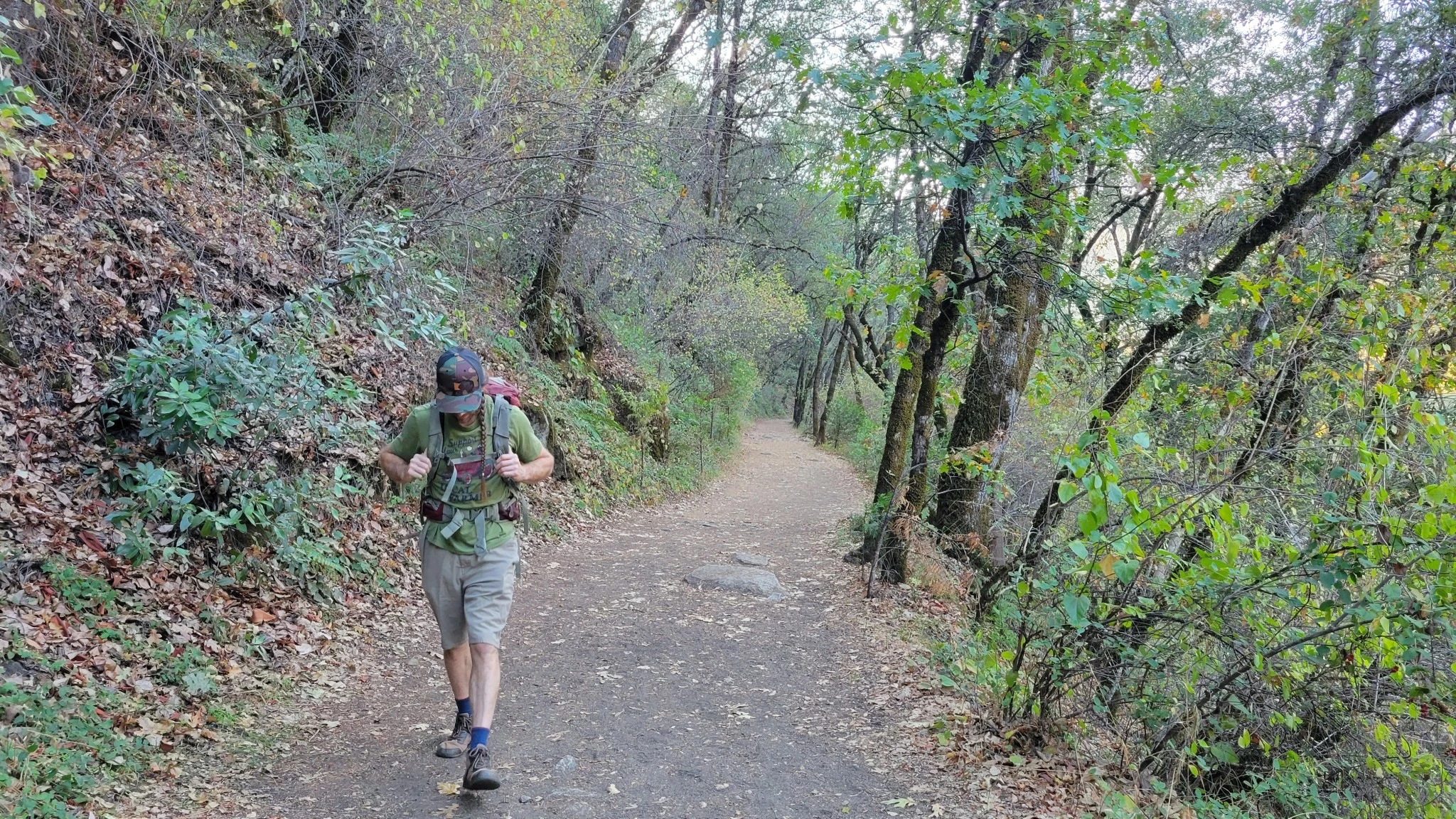 A pair of Darn Tough brand hiking socks worn outdoors.