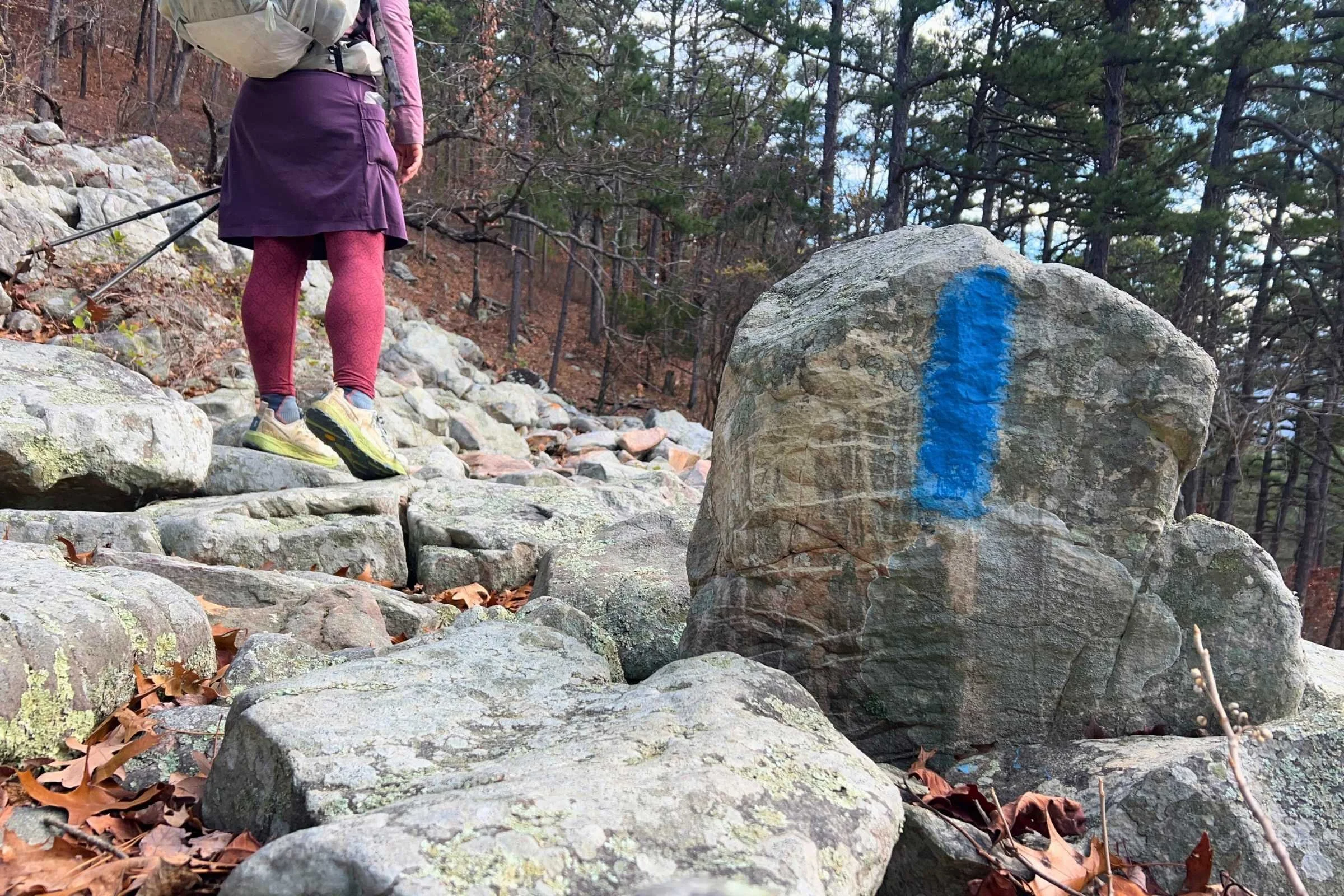 A pair of Altra Timp 6 trail runners in blue and gray resting on a bed of jagged rocks and dry leaves.