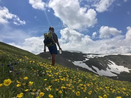 A hiker walking through a lush meadow filled with white wildflowers.