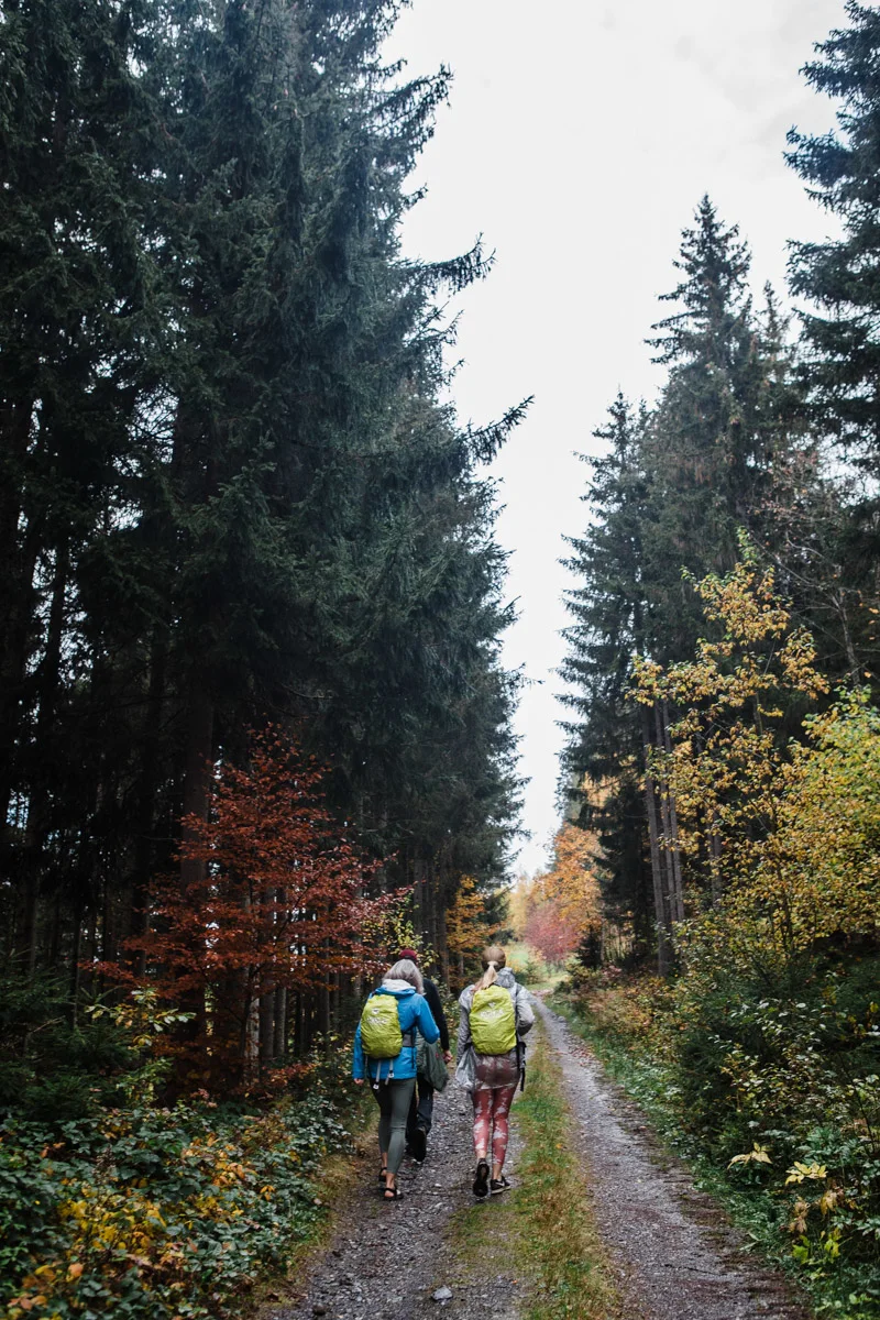 Two hikers walking along a quiet, narrow alpine ridge trail.